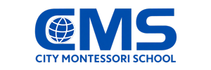 CMS-300